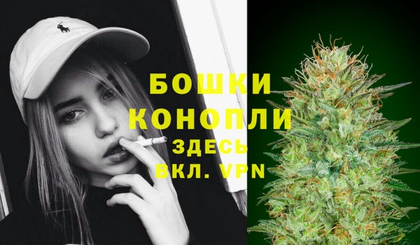 Альфа ПВП Верея